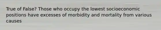 True of False? Those who occupy the lowest socioeconomic positions have excesses of morbidity and mortality from various causes