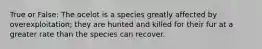 True or False: The ocelot is a species greatly affected by overexploitation; they are hunted and killed for their fur at a greater rate than the species can recover.