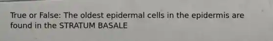 True or False: The oldest epidermal cells in <a href='https://www.questionai.com/knowledge/kBFgQMpq6s-the-epidermis' class='anchor-knowledge'>the epidermis</a> are found in the STRATUM BASALE