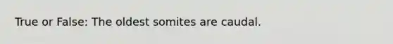 True or False: The oldest somites are caudal.