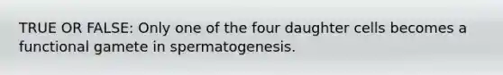 TRUE OR FALSE: Only one of the four daughter cells becomes a functional gamete in spermatogenesis.