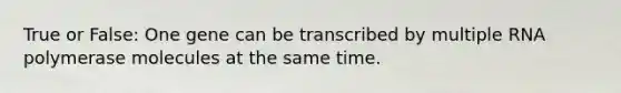 True or False: One gene can be transcribed by multiple RNA polymerase molecules at the same time.