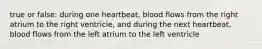true or false: during one heartbeat, blood flows from the right atrium to the right ventricle, and during the next heartbeat, blood flows from the left atrium to the left ventricle