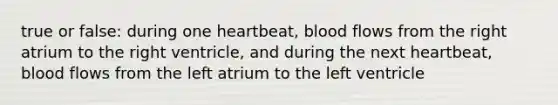 true or false: during one heartbeat, blood flows from the right atrium to the right ventricle, and during the next heartbeat, blood flows from the left atrium to the left ventricle