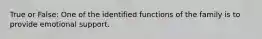 True or False: One of the identified functions of the family is to provide emotional support.