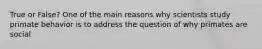 True or False? One of the main reasons why scientists study primate behavior is to address the question of why primates are social