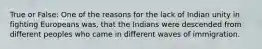 True or False: One of the reasons for the lack of Indian unity in fighting Europeans was, that the Indians were descended from different peoples who came in different waves of immigration.