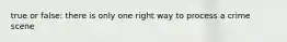 true or false: there is only one right way to process a crime scene