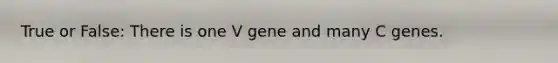 True or False: There is one V gene and many C genes.