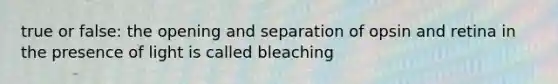 true or false: the opening and separation of opsin and retina in the presence of light is called bleaching