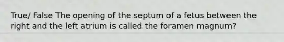 True/ False The opening of the septum of a fetus between the right and the left atrium is called the foramen magnum?