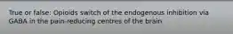 True or false: Opioids switch of the endogenous inhibition via GABA in the pain-reducing centres of the brain