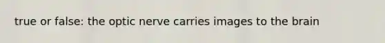 true or false: the optic nerve carries images to the brain
