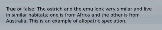 True or false: The ostrich and the emu look very similar and live in similar habitats; one is from Africa and the other is from Australia. This is an example of allopatric speciation.