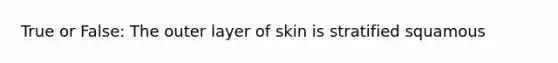 True or False: The outer layer of skin is stratified squamous