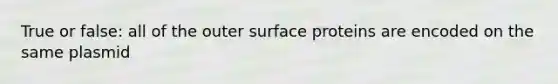 True or false: all of the outer surface proteins are encoded on the same plasmid