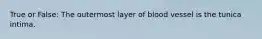 True or False: The outermost layer of blood vessel is the tunica intima.