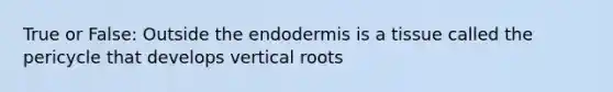 True or False: Outside the endodermis is a tissue called the pericycle that develops vertical roots