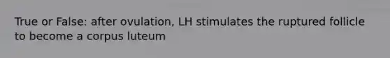 True or False: after ovulation, LH stimulates the ruptured follicle to become a corpus luteum