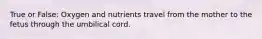 True or False: Oxygen and nutrients travel from the mother to the fetus through the umbilical cord.