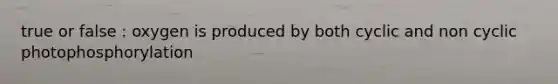 true or false : oxygen is produced by both cyclic and non cyclic photophosphorylation