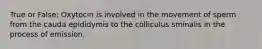 True or False: Oxytocin is involved in the movement of sperm from the cauda epididymis to the colliculus sminalis in the process of emission.