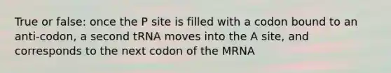 True or false: once the P site is filled with a codon bound to an anti-codon, a second tRNA moves into the A site, and corresponds to the next codon of the MRNA