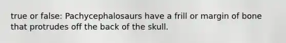 true or false: Pachycephalosaurs have a frill or margin of bone that protrudes off the back of the skull.