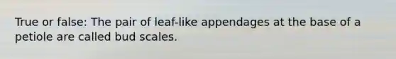 True or false: The pair of leaf-like appendages at the base of a petiole are called bud scales.