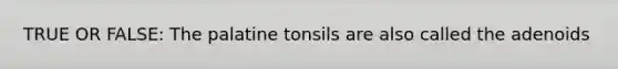 TRUE OR FALSE: The palatine tonsils are also called the adenoids