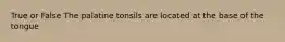 True or False The palatine tonsils are located at the base of the tongue