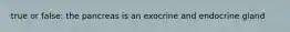 true or false: the pancreas is an exocrine and endocrine gland