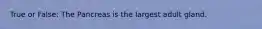 True or False: The Pancreas is the largest adult gland.