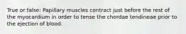 True or false: Papillary muscles contract just before the rest of the myocardium in order to tense the chordae tendineae prior to the ejection of blood.