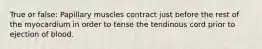 True or false: Papillary muscles contract just before the rest of the myocardium in order to tense the tendinous cord prior to ejection of blood.