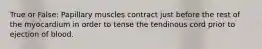 True or False: Papillary muscles contract just before the rest of the myocardium in order to tense the tendinous cord prior to ejection of blood.