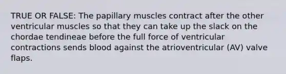 TRUE OR FALSE: The papillary muscles contract after the other ventricular muscles so that they can take up the slack on the chordae tendineae before the full force of ventricular contractions sends blood against the atrioventricular (AV) valve flaps.