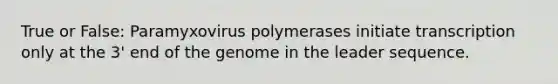 True or False: Paramyxovirus polymerases initiate transcription only at the 3' end of the genome in the leader sequence.