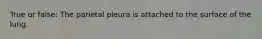 True or false: The parietal pleura is attached to the surface of the lung.