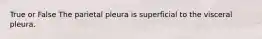 True or False The parietal pleura is superficial to the visceral pleura.