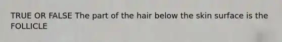 TRUE OR FALSE The part of the hair below the skin surface is the FOLLICLE