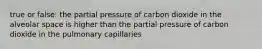 true or false: the partial pressure of carbon dioxide in the alveolar space is higher than the partial pressure of carbon dioxide in the pulmonary capillaries