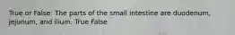 True or False: The parts of the small intestine are duodenum, jejunum, and ilium. True False