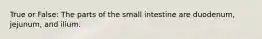 True or False: The parts of the small intestine are duodenum, jejunum, and ilium.