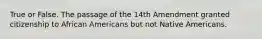 True or False. The passage of the 14th Amendment granted citizenship to African Americans but not Native Americans.