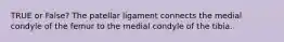 TRUE or False? The patellar ligament connects the medial condyle of the femur to the medial condyle of the tibia.