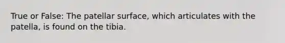 True or False: The patellar surface, which articulates with the patella, is found on the tibia.