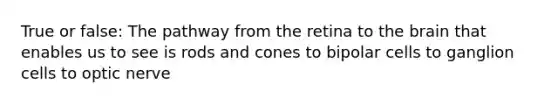 True or false: The pathway from the retina to the brain that enables us to see is rods and cones to bipolar cells to ganglion cells to optic nerve