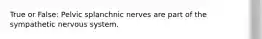 True or False: Pelvic splanchnic nerves are part of the sympathetic nervous system.