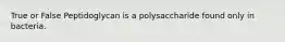 True or False Peptidoglycan is a polysaccharide found only in bacteria.